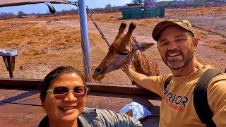 EXPLORING the RHINO amp LION Nature Reserve Johannesburg  Its worth it [upl. by Salohcim318]