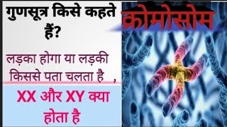 Chromosome गुणसूत्र लड़का होगा या लड़की किससे पता चलता हैxx और xy kya hota hai लड़का कैसे होगा [upl. by Eednac931]