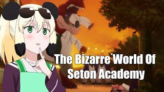 The Bizarre world of Seton Academy [upl. by Neleh]