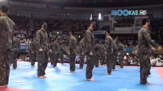 Taekwondo display by the Korean army at the 2013 Hammadang [upl. by Leay]