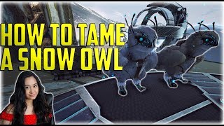 How To Tame A Snow Owl Best Healer amp Everything You Need To Know  Ark Extinction [upl. by Nauaj]