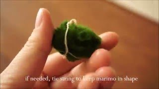 Propagate Marimo [upl. by Ttocs]