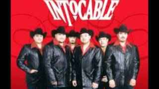 INTOCABLE contigo letra [upl. by Utir]