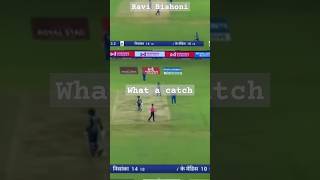 Ravi Bishnoi what a catch cricket india 🇮🇳🇮🇳 [upl. by Terza]