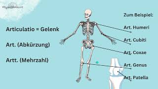 Grundbegriffe der Medizin 2 Grundsteine der Anatomie Abkürzungen verstehen [upl. by Osmo955]