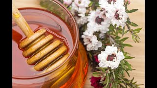 Manuka Honey A Promising Natural Treatment for Breast Cancer [upl. by Feetal832]