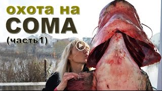 Spearfishing on the Dnieper Giant Cat fish  охота на Днепре  UKRAINE fishing [upl. by Davine]