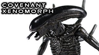 Hiya Toys XENOMORPH Alien Covenant Action Figure Review [upl. by Sucramd692]