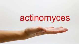 How to Pronounce actinomyces  American English [upl. by Renata957]