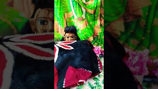 laddu ki maiya ne mani haar newvideo viralshorts laddugopalshorts shorts officalvideomyvideo [upl. by Keene]