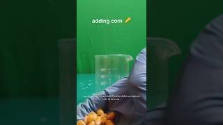 Piranha solution vs corn piranha destroyer exothermic experiment popcorn viralvideo [upl. by Jeraldine139]