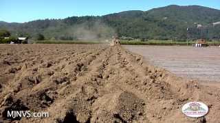 Vineyard Site Prep for Planting Stage One [upl. by Battiste393]