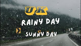 Rainy Days vs Sunny Days The Science of Mood [upl. by Yve]