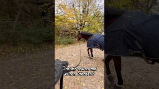 🥰🍀 pferdeliebe pferd pferde pony reiten horse [upl. by Etsirhc]