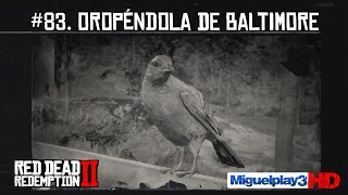 Localización Oropéndola de Baltimore  83 Compendio Animales  Red dead redemption 2 [upl. by Puri]