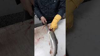 How To Remove Salmon Fish Bones amp Fillet [upl. by Drusi]