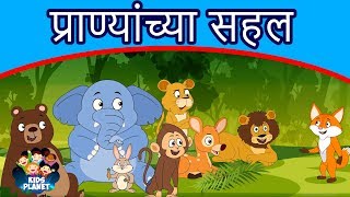 प्राण्यांच्या सहल  Marathi Goshti गोष्टी  Chan Chan Goshti  Marathi Story  Ajibaicha Goshti [upl. by Bathsheba]