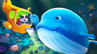 Saving a Whale  Magical Chinese Characters  Kids Cartoon  BabyBus TV [upl. by Iahs]