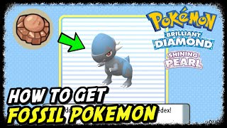 How to Get Fossil Pokemon in Pokemon Brilliant Diamond amp Shining Pearl Cranidos Fossil Pokemon [upl. by Nhguavahs904]