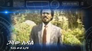 Gashaw Adal ዓይኔ ውብ እያዬ Ayne Wub Eyaye [upl. by Sido]