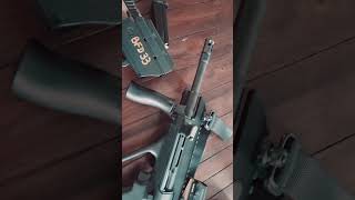 Steyr Aug in 300 Blk and my Rost Martin incredible combo [upl. by Lennaj710]