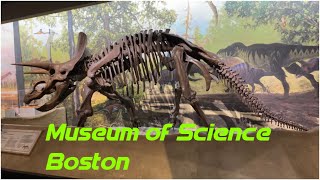 Museum of science Boston [upl. by Lenni]