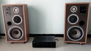 Celestion ditton 551 with Pioneer A445 amplifier brilliant sound and dynamic [upl. by Deva]