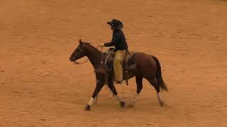 Ranch Horse Show  2018 WRCA World Championship Ranch Rodeo [upl. by Rosdniw]