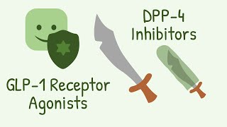 GLP 1 Receptor Agonists and DPP 4 Inhibitors Mechanism of Action [upl. by Eseila483]