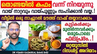 തൊണ്ടയിൽ കഫം വന്നു നിറയുന്നു വായ്നാറ്റം വായ് പുണ്ണ് മോണ രോഗം മാറാൻ ഒരു നാച്ചുറൽ മൗത്ത് വാഷ് [upl. by Asiel]