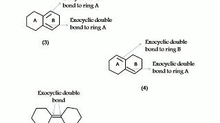 Woodward Fieser Rule for calculating absorption maxima in dienes with examples [upl. by Chelsey66]