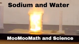 Sodium in water explosion Chemical Reaction [upl. by Garbers]