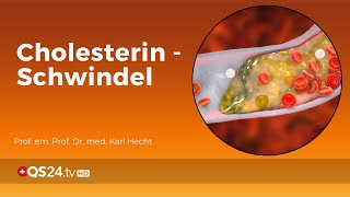 Der CholesterinSchwindel  Prof em Prof Dr med Karl Hecht  Back to school  QS24 [upl. by Alilad]