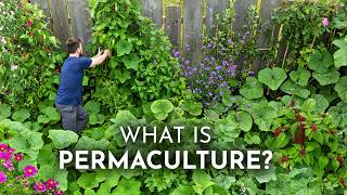 PERMACULTURE Explained in 6 Minutes [upl. by Mcdowell]