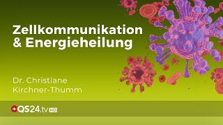 Feinstofflichkeit und Zellkommunikation in der Informationsmedizin  Erfahrungsmedizin  QS24 [upl. by Einattirb656]