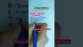 Simple Squamous Epithelium biology neetbiology neet neet2025 shorttrick shorts trendingshorts [upl. by Judon]