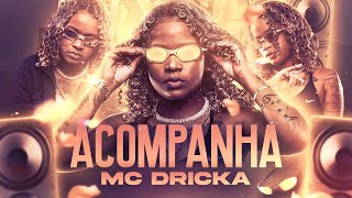 Mc Dricka  Seu Pa Vacilou DJ TH [upl. by Oiznun]