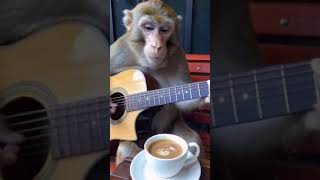 Brown Myth Wukong The guitarist monkey Slashs solo Acoustic knocking on heavens door GnR Axel rose [upl. by Attennhoj]