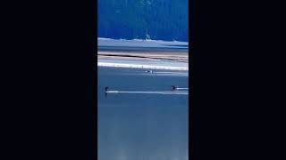 Turnagain Arm’s BoreTide AK [upl. by Assirahc]