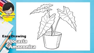 Easy Drawing Alocasia Amazonica [upl. by Sandberg813]