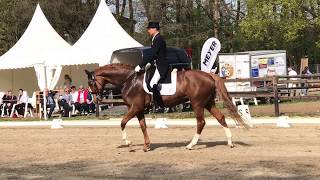 Sunshine Sittensen Mai 2017 SDressur 9 Platz [upl. by Ofelia]