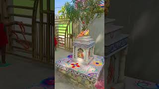 3 Pali panchuka bratara puja shortsviral family tutorial [upl. by Frederica57]