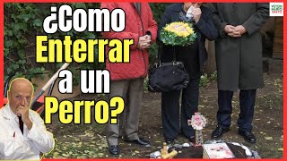 🔴 ¿CÓMO ENTERRAR A UN PERRO CORRECTAMENTE PARA QUE NO HUELA O EN UNA MACETA [upl. by Durst]