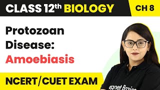 Protozoan Disease Amoebiasis  Human Health amp Disease  Class 12 Biology Chapter 8 202223 [upl. by Calida352]