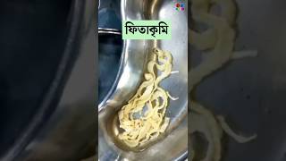 ফিতাকৃমি  Tapeworm  Cestodes Microbiology  Dr Med [upl. by Beaufort]