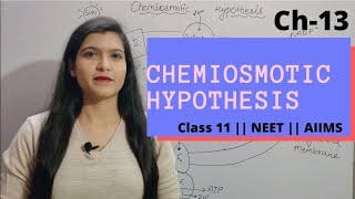 Ch13 Photosynthesis L04 Chemiosmotic Hypothesis  Class 11  NEET  AIIMS [upl. by Stallworth]