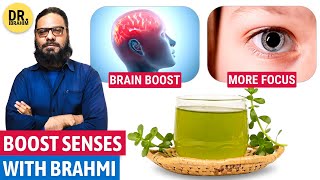 Apna Demag quotBRAHMI BUTIquot Se Tez Karen Bacopa Monnieri Benefits on Brain  Dr Ibrahim [upl. by Noseimaj]