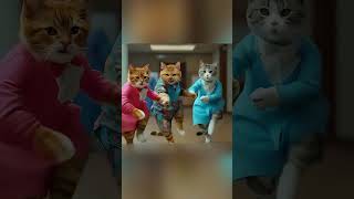 Crazy Cats Dancing And Enjoying [upl. by Letnohc]