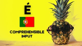 Basic Vocabulary  é  🇵🇹 ☘🍍Comprehensible Input in Portuguese [upl. by Adnicaj501]