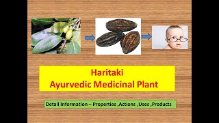 Haritaki l Harad l Terminalia Chebula l Health Benefits of Haritaki l King of Medicinal Herb [upl. by Kippar47]